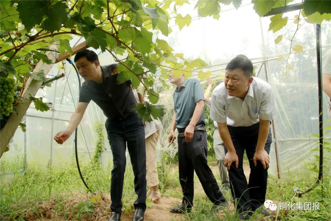 中国·永利yl23455(集团)有限公司-官方网站