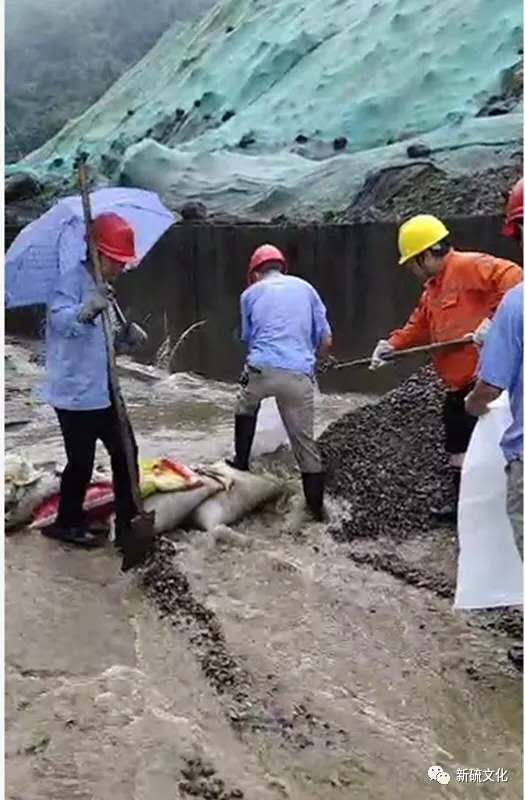 中国·永利yl23455(集团)有限公司-官方网站